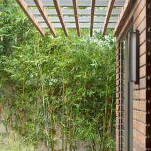Privacy Wall