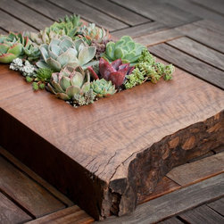 Living Centerpieces - Products