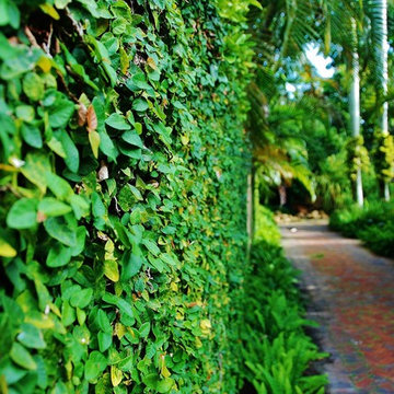 Tropical Landscape Design