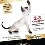 Κατερίνα Ανυφαντή's photo