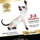 webuser_6781405