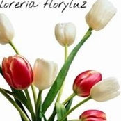 Foto von Floryluz Floreria