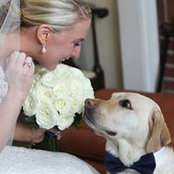 Colleen Thomas's photo