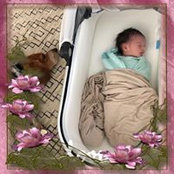 Lisa Brillon's photo
