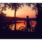 Vince Camiolo's photo