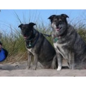 Pat Piccirilli's photo