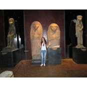 Aline Sabbagh's photo