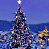 Denise McKnight Ortberg's photo