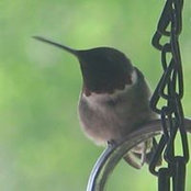 Sandra Clements's photo