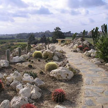 Exterior Ideas