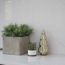 apartment color of wall in kitchen and counter