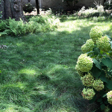 Once and Done Mowing!