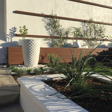 Contemporary Corona Del Mar