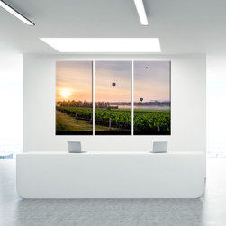 Multi Panel Artworks - Triptych "Morning Vines" Hunter Valley - Fine Art Prints