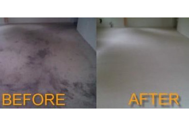Carpet Cleaning in Rochester New York