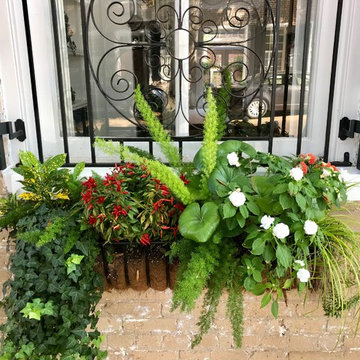 Southern Window Boxes