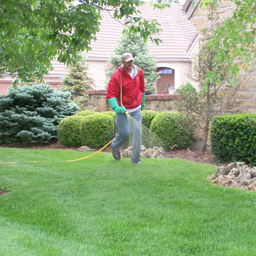 Lawn and Tree Care