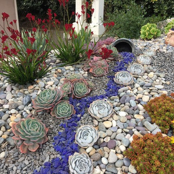 Succulent garden