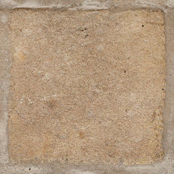 Antique Terra Cotta Light - Wall And Floor Tile