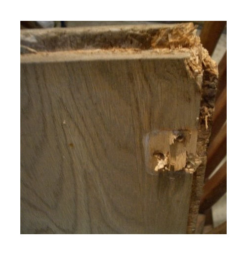 Kitchen hinge broke!