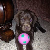Mary Umbach Johnson's photo