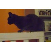 Pierre Abrahamse's photo