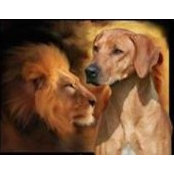Gabriele DiFranco's photo
