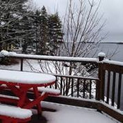 Rexanne Burns's photo