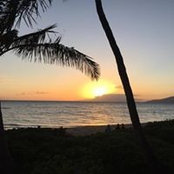 Rose Suter's photo