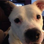 Kate Winegardner's photo