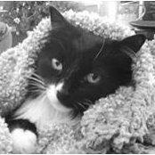Karen Wiley's photo