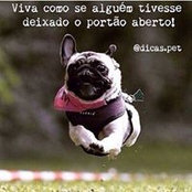Foto de Cris Zacchello

