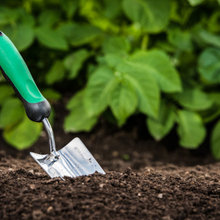 Gardening TIps