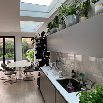 Interior Plants