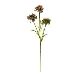 Shea's Wildflower - Queen Anne's Lace, 36", Pink - Artificial Flower Arrangements