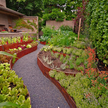 garden on side yard