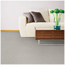 LBI carpet