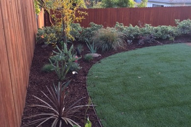 Design ideas for a traditional landscaping in Los Angeles.