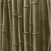 Bamboo Forest Shower Tile, Bamboo 1