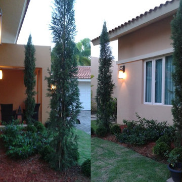 Couple’s dream Mediterranean landscape fulfilled