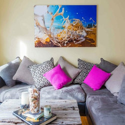 Joel Coleman in homes - In Situ Library - Photographs