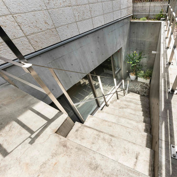 大樹と暮らす家