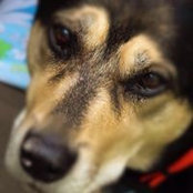 Annette Ouchie's photo