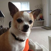 Patty Simpson's photo