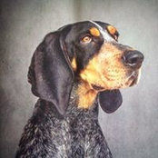 Rob Maybury's photo