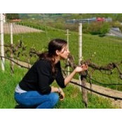Liz Davar's photo