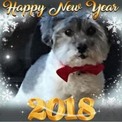 Kelly Morgan's photo