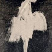 Taya Kutsa's photo