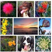 Cooper MacDonald's photo