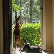 Foto von Kelly Wererabbit